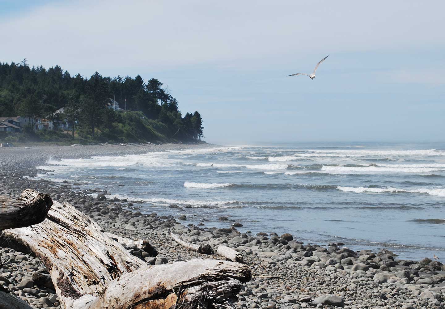 Seaside, OR local area beach